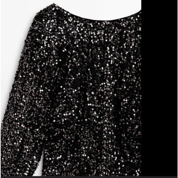 Massimo Dutti Short Sequinned Dress - Picture 5 of 6